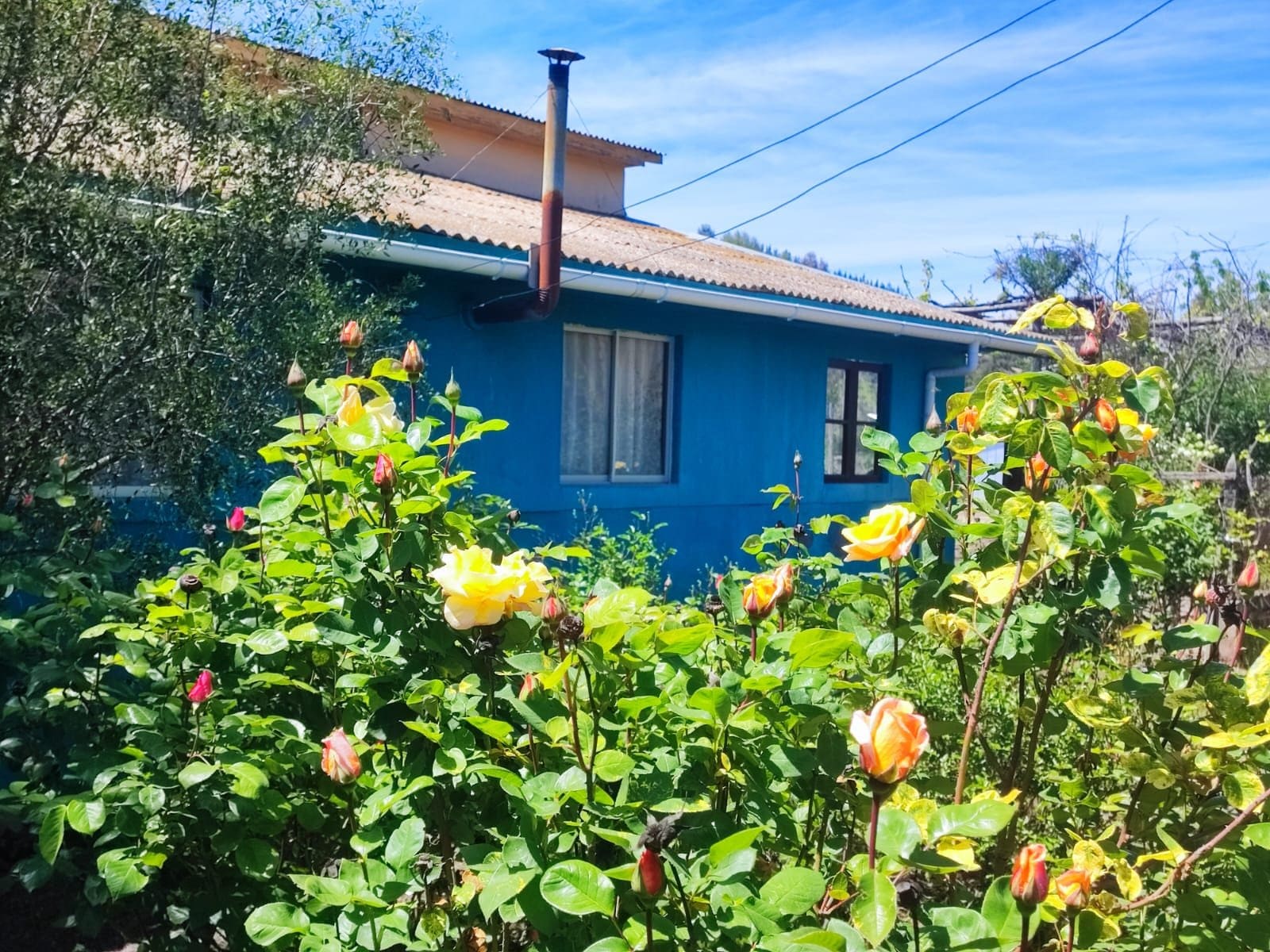 Casa en venta en Marchigue — foto 4
