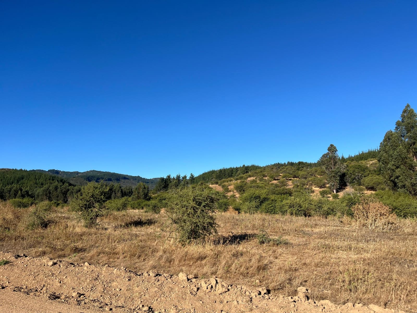Terreno en venta en Hualañé — foto 2