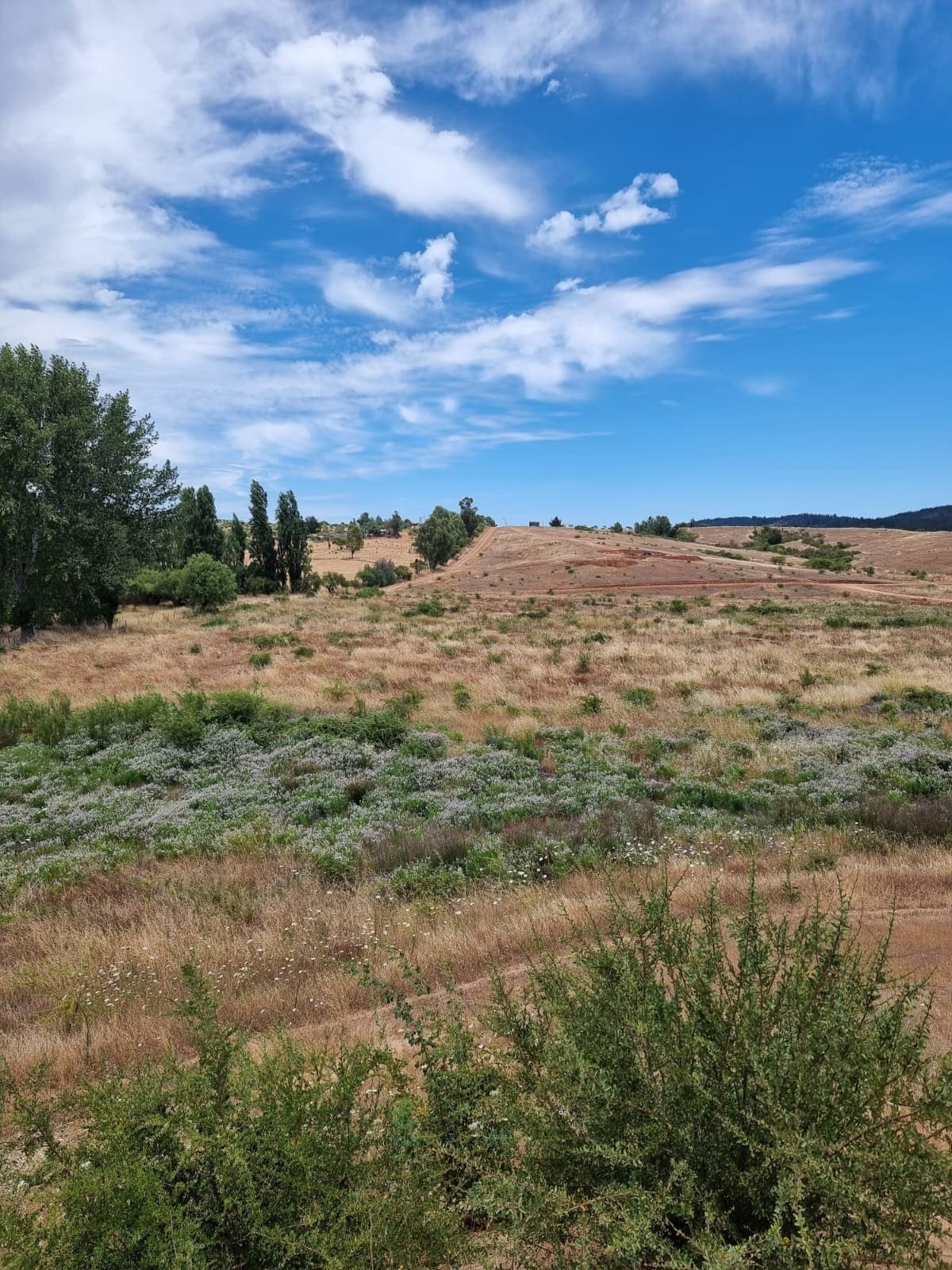 Terreno en venta en Chépica — foto 1