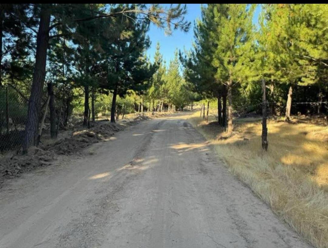 Terreno en venta en Chépica — foto 4