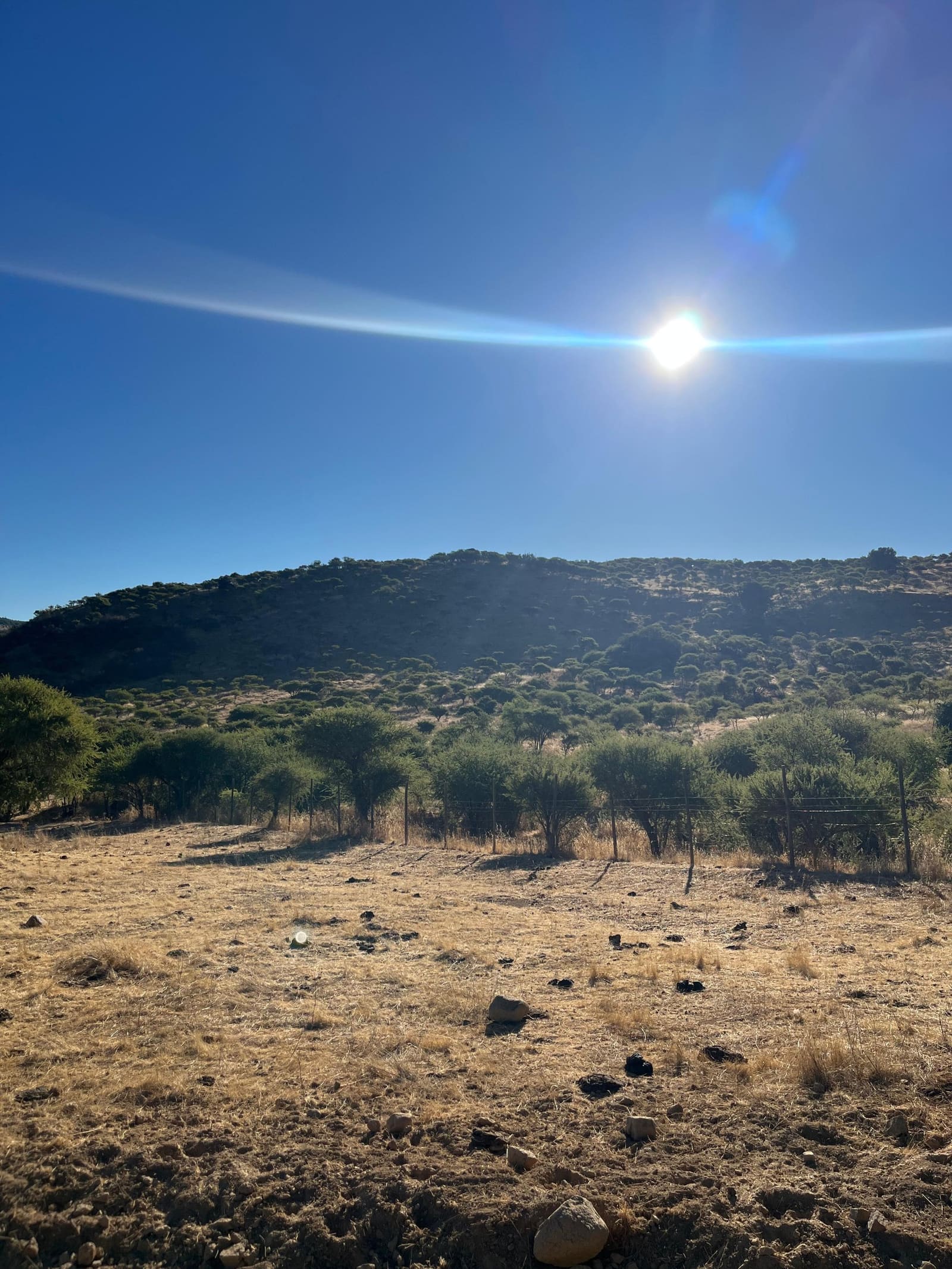 Terreno en venta en Hualañé — foto 3