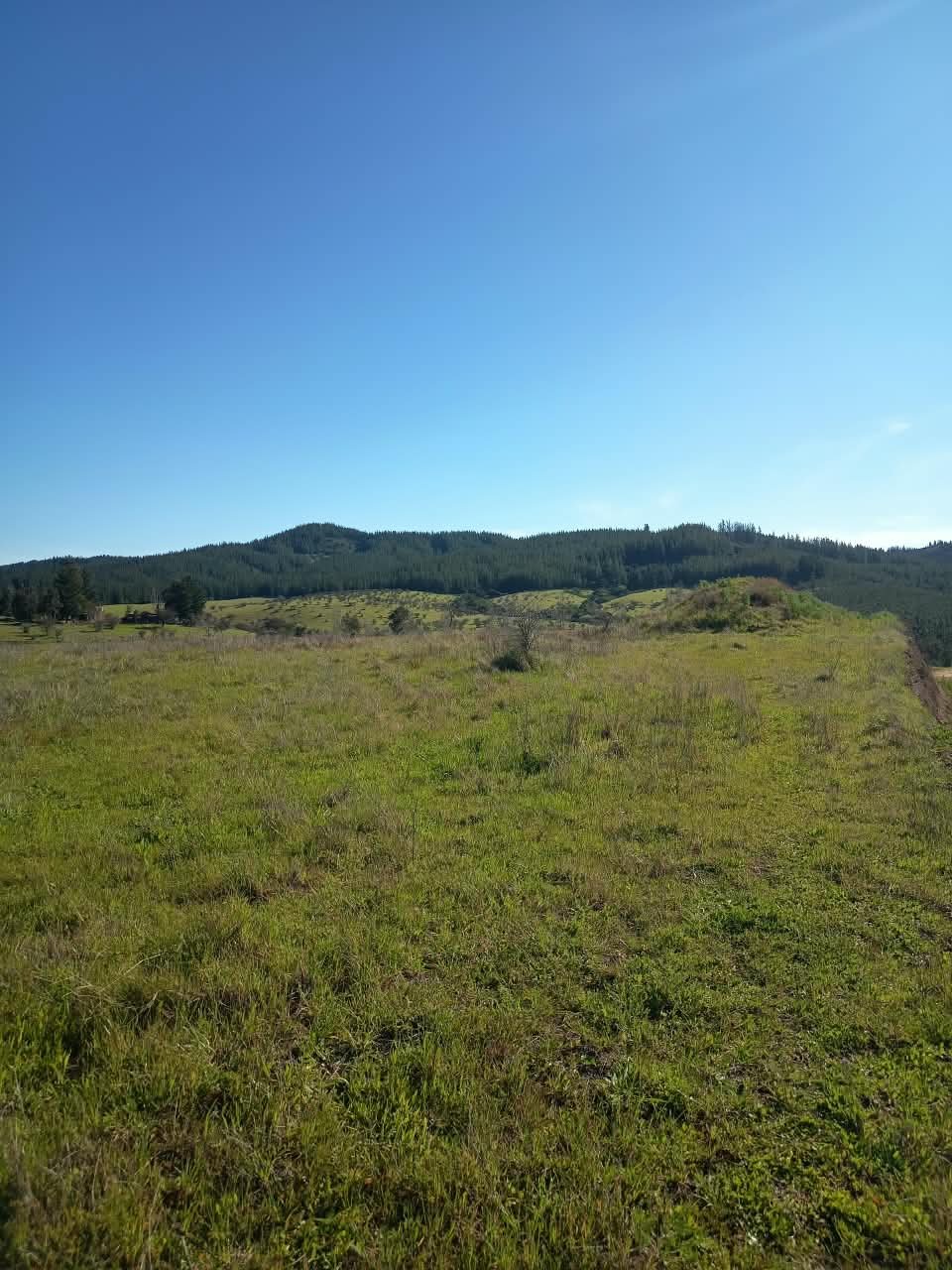 Parcela en venta en Hualañé — foto 7