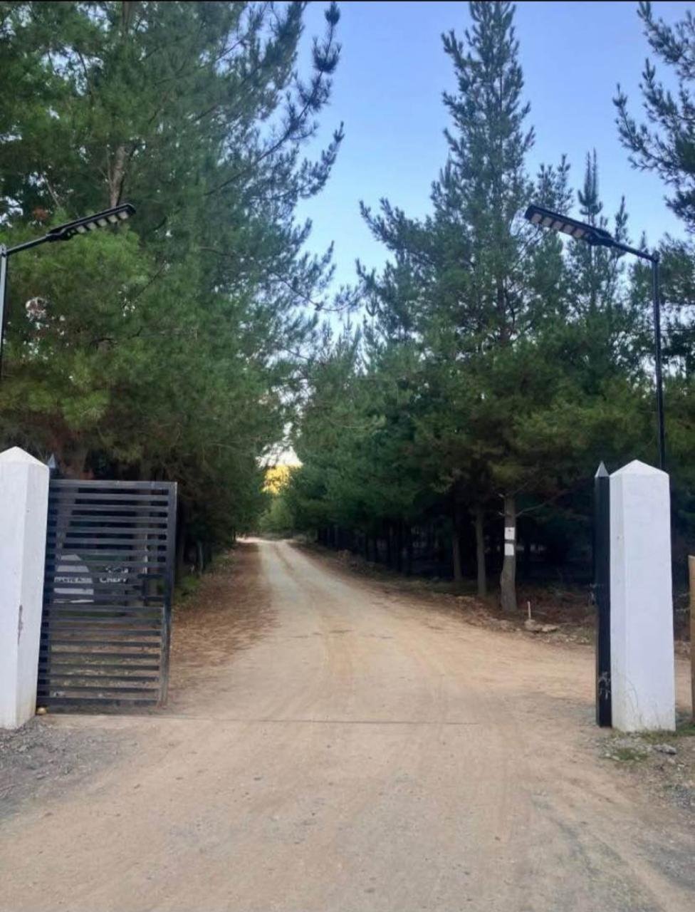 Terreno en venta en Chépica — foto 5