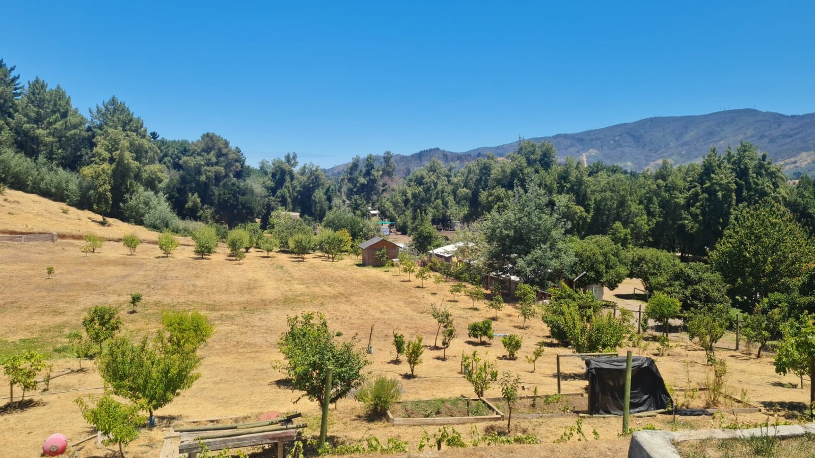 Parcela en venta en Quillón — foto 3