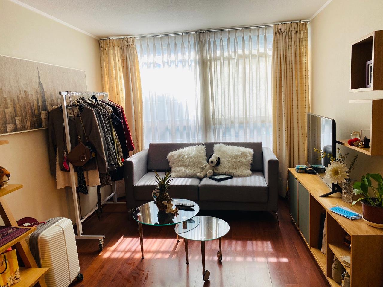 Departamento en arriendo en Santiago — foto 3