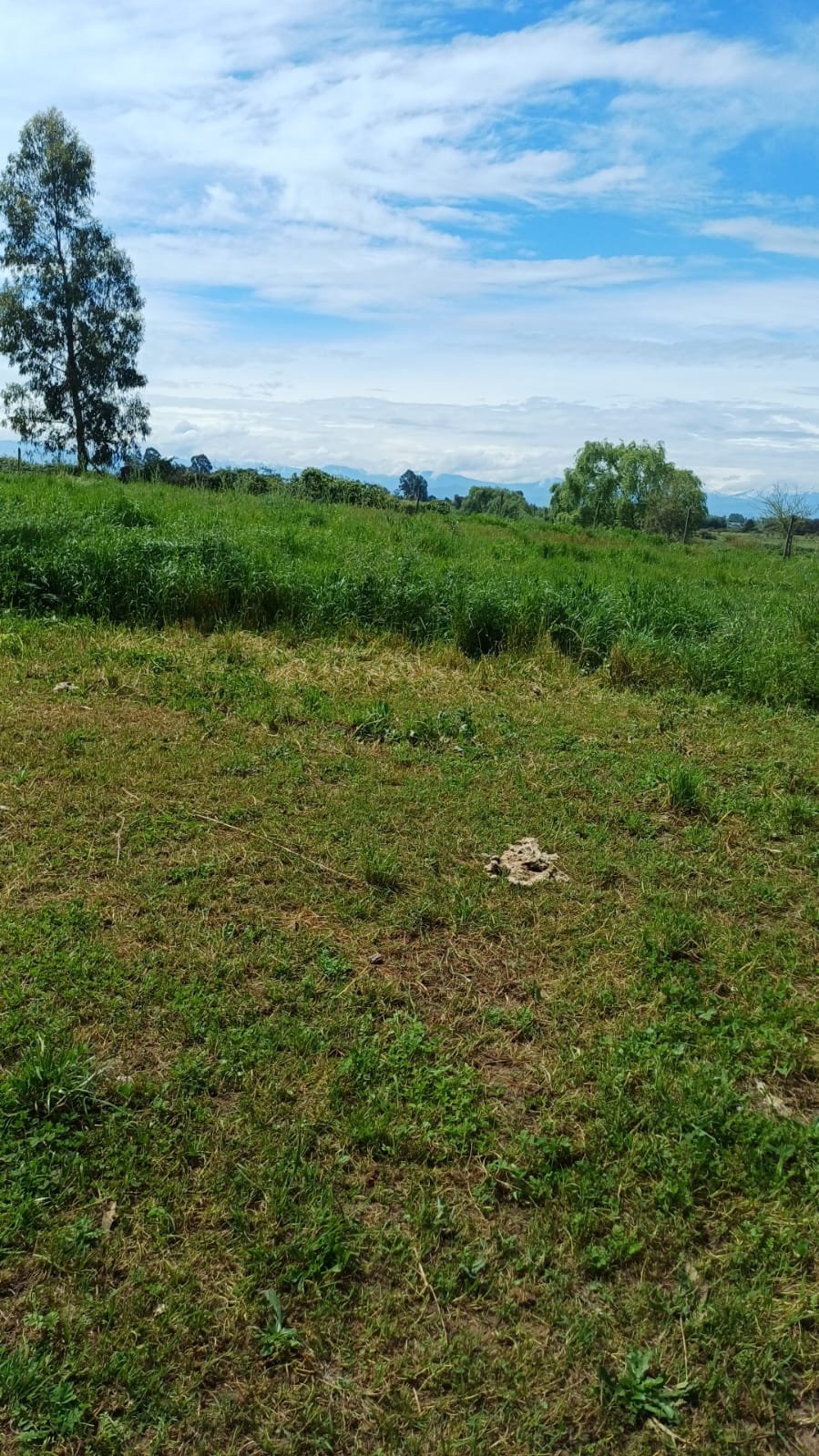 Parcela en venta en San Rafael — foto 4