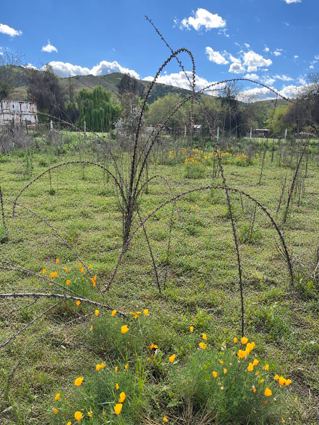 Terreno en venta en San Vicente Tagua Tagua — foto 7