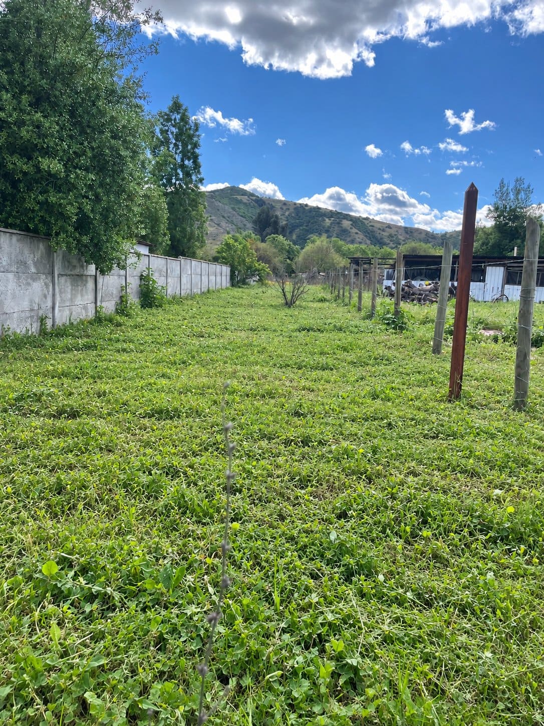 Terreno en venta en San Vicente Tagua Tagua — foto 1