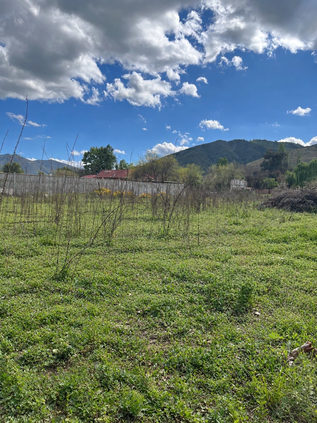 Terreno en venta en San Vicente Tagua Tagua — foto 3
