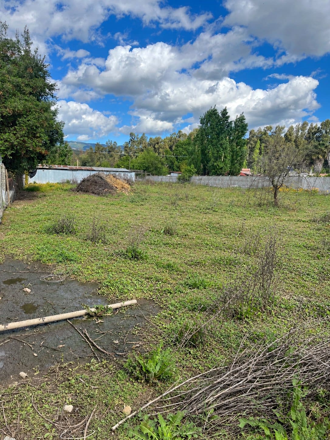 Terreno en venta en San Vicente Tagua Tagua — foto 4