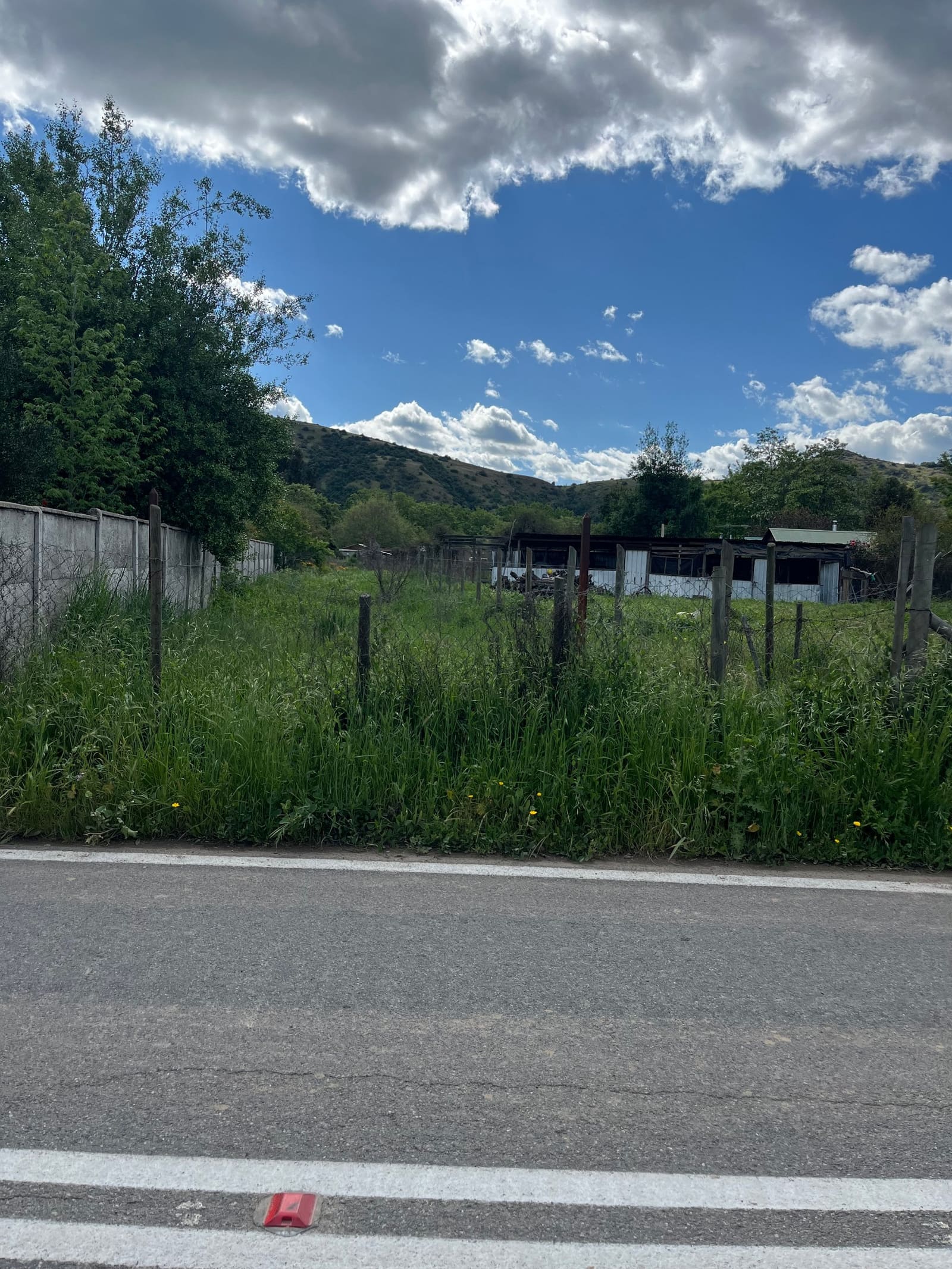Terreno en venta en San Vicente Tagua Tagua — foto 8