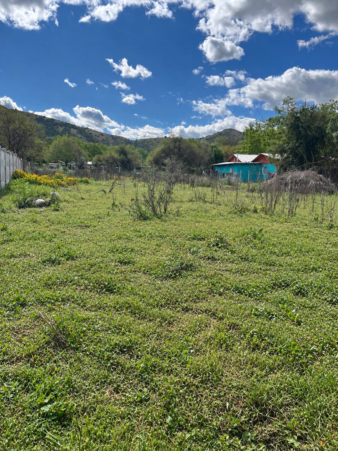 Terreno en venta en San Vicente Tagua Tagua — foto 2