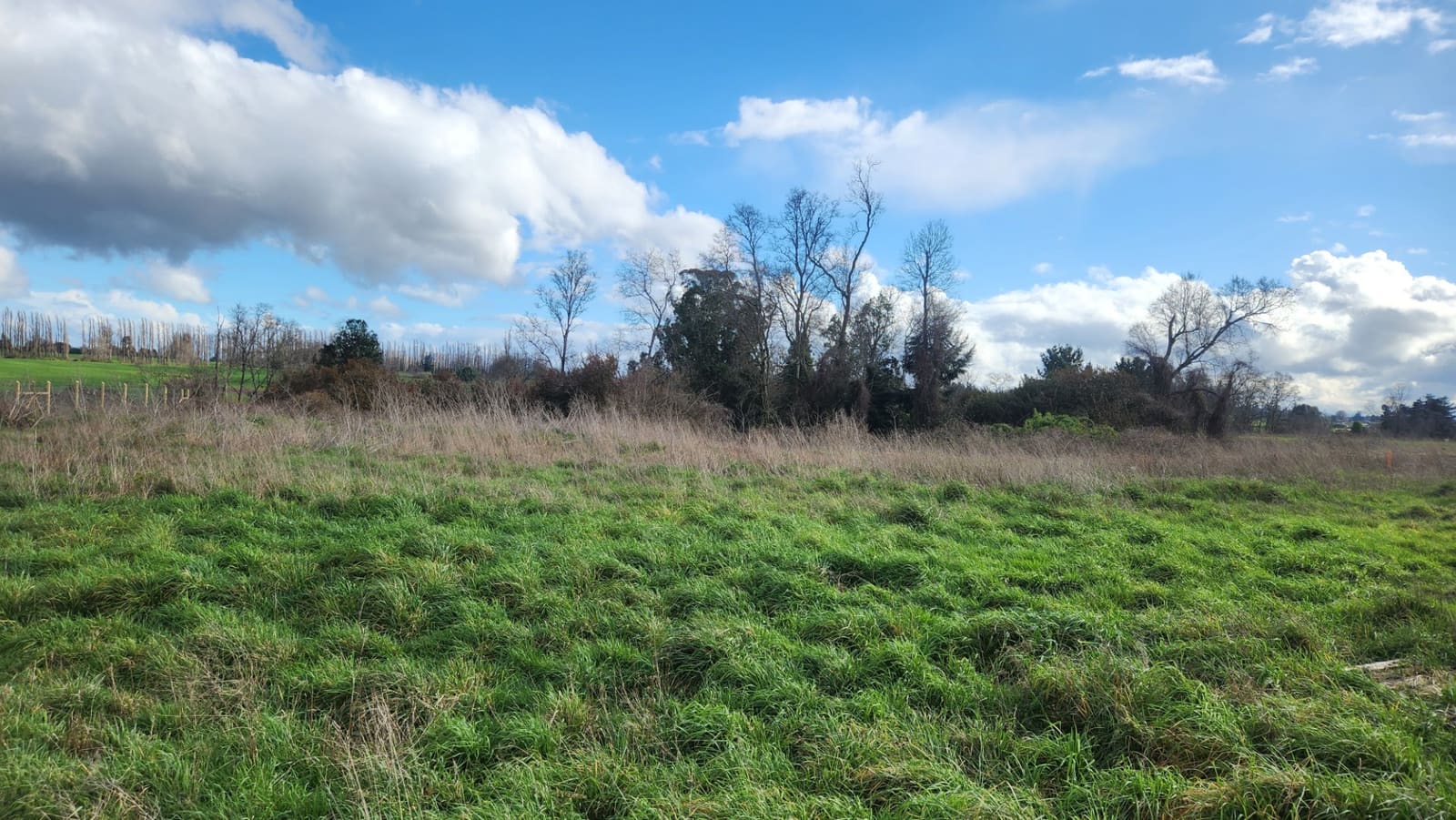 Parcela en venta en Osorno — foto 6