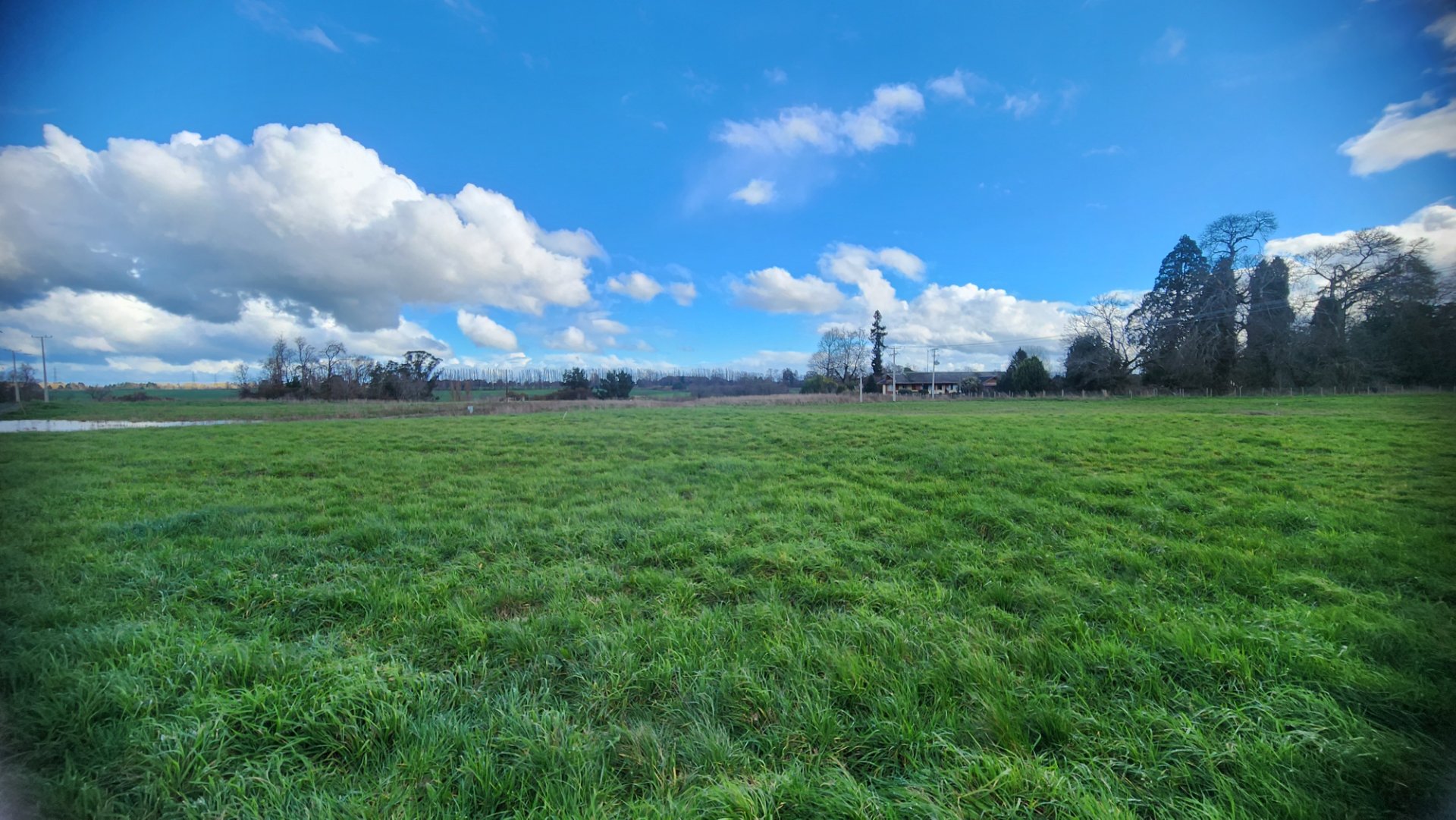 Parcela en venta en Osorno — foto 3
