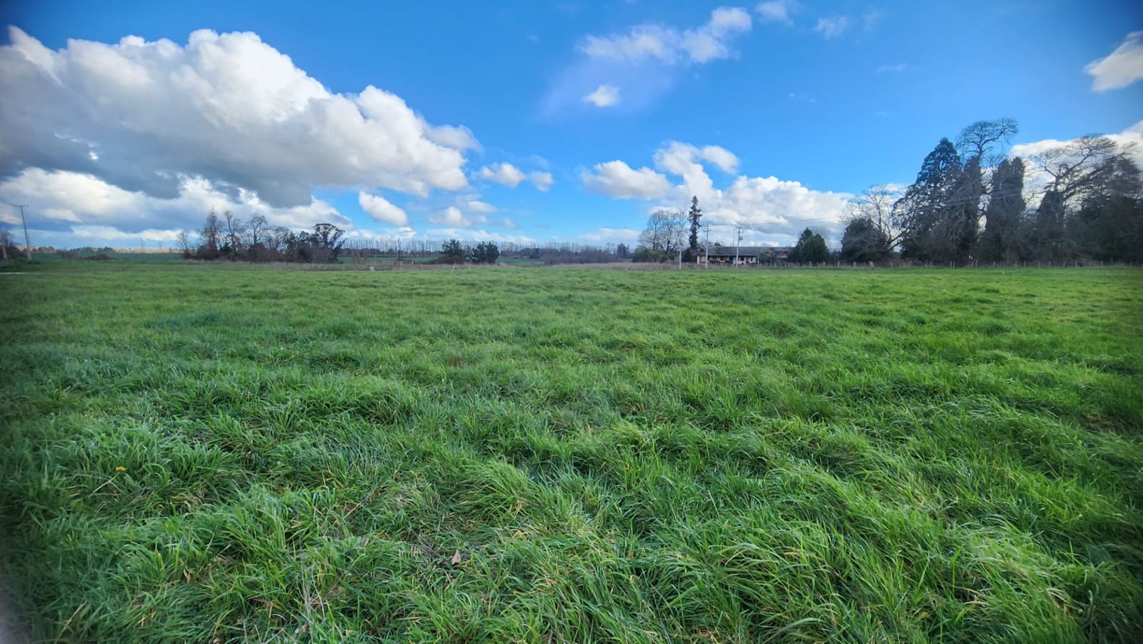 Parcela en venta en Osorno — foto 2