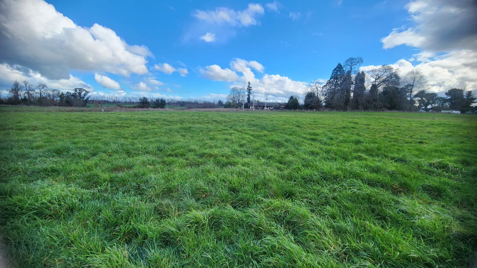 Parcela en venta en Osorno — foto 4