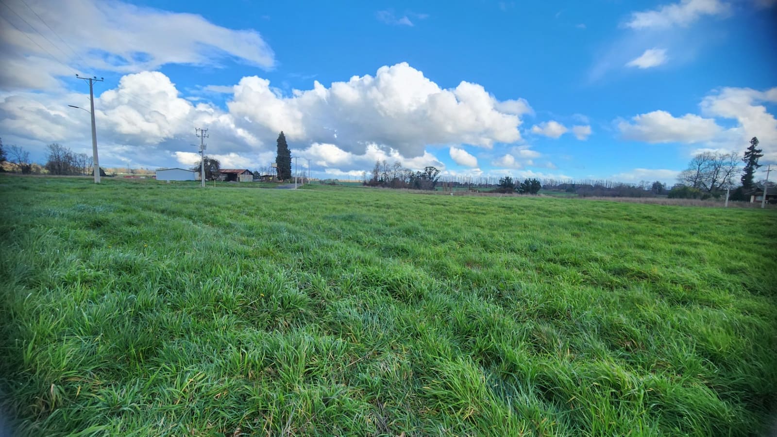 Parcela en venta en Osorno — foto 10