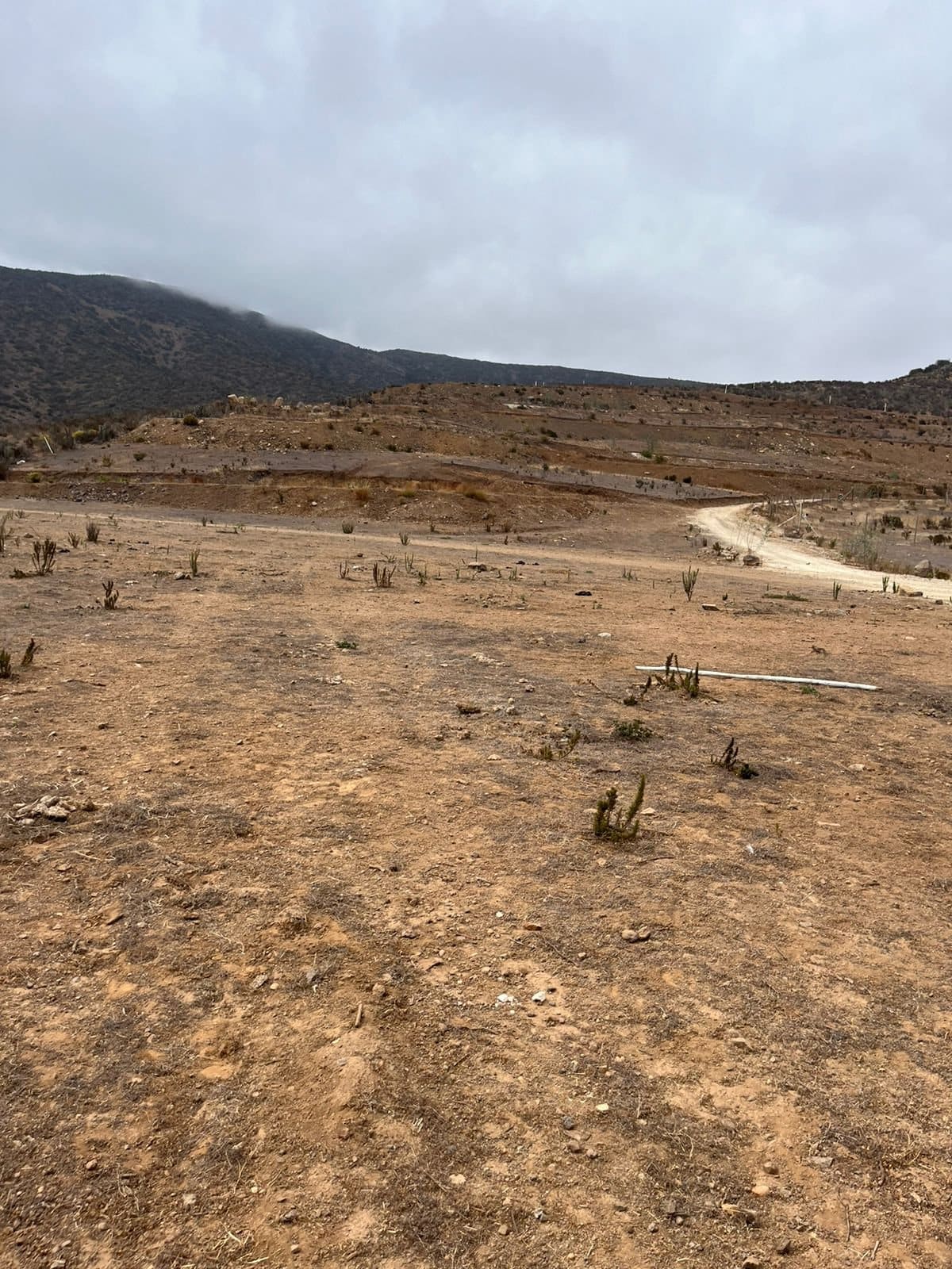 Terreno en venta en Coquimbo — foto 1