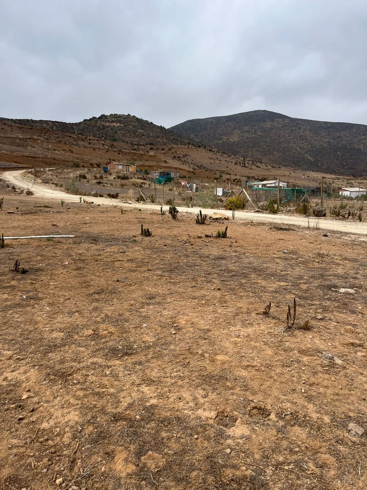 Terreno en venta en Coquimbo — foto 4