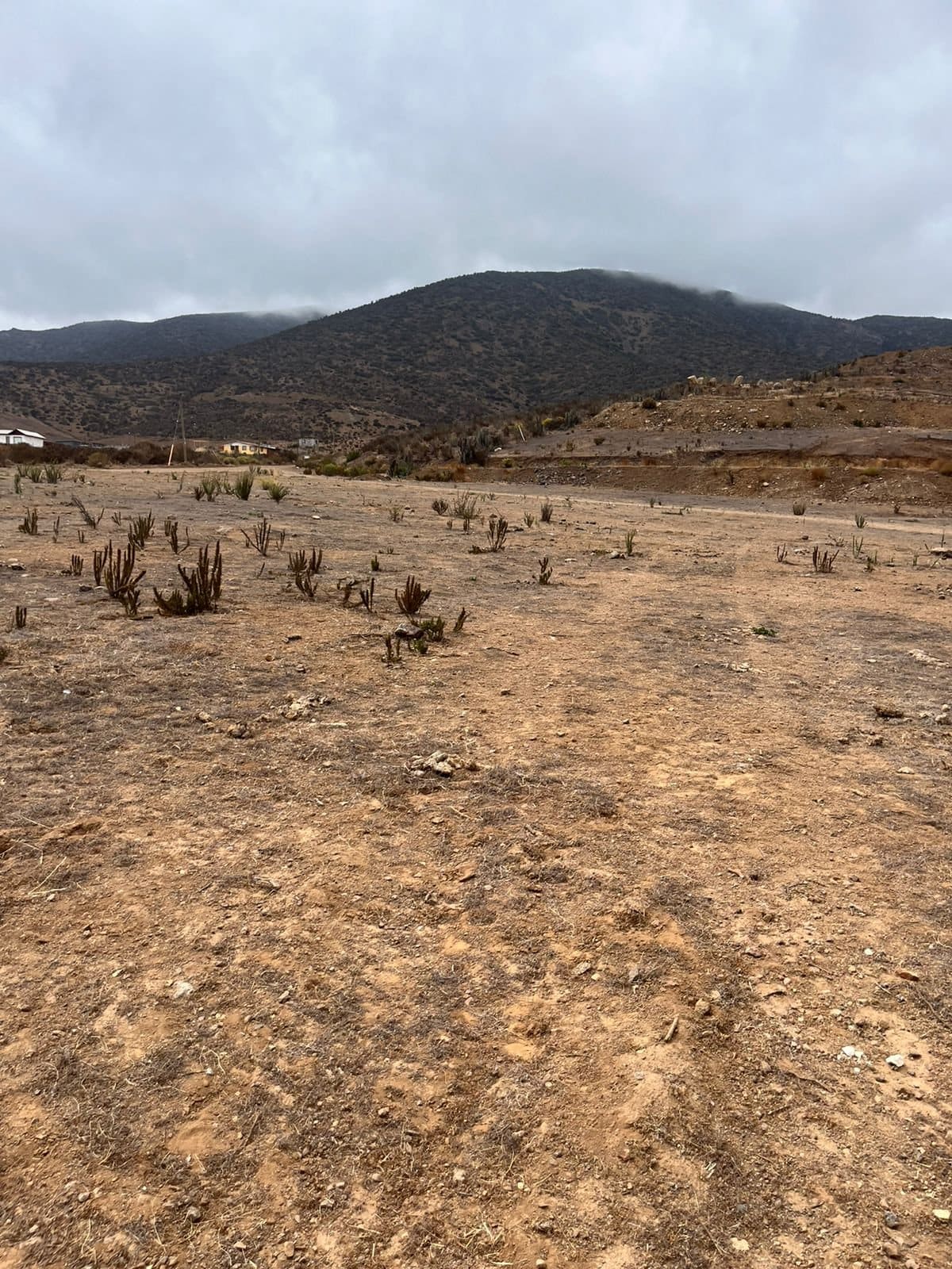 Terreno en venta en Coquimbo — foto 2