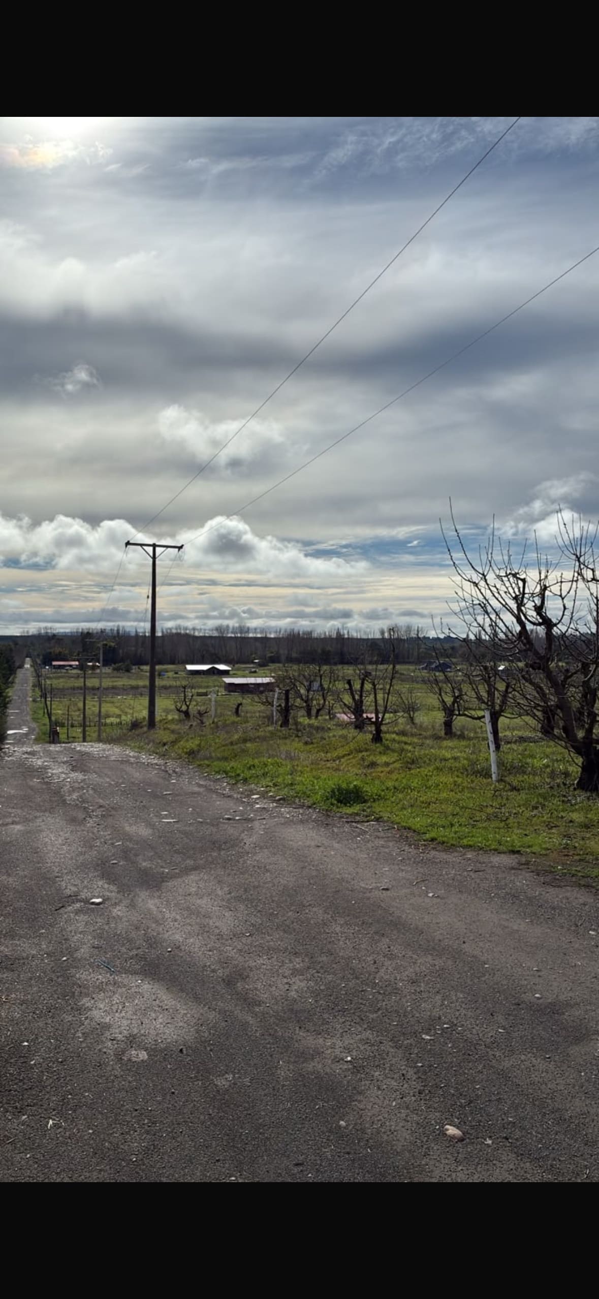 Parcela en venta en Chillán — foto 4