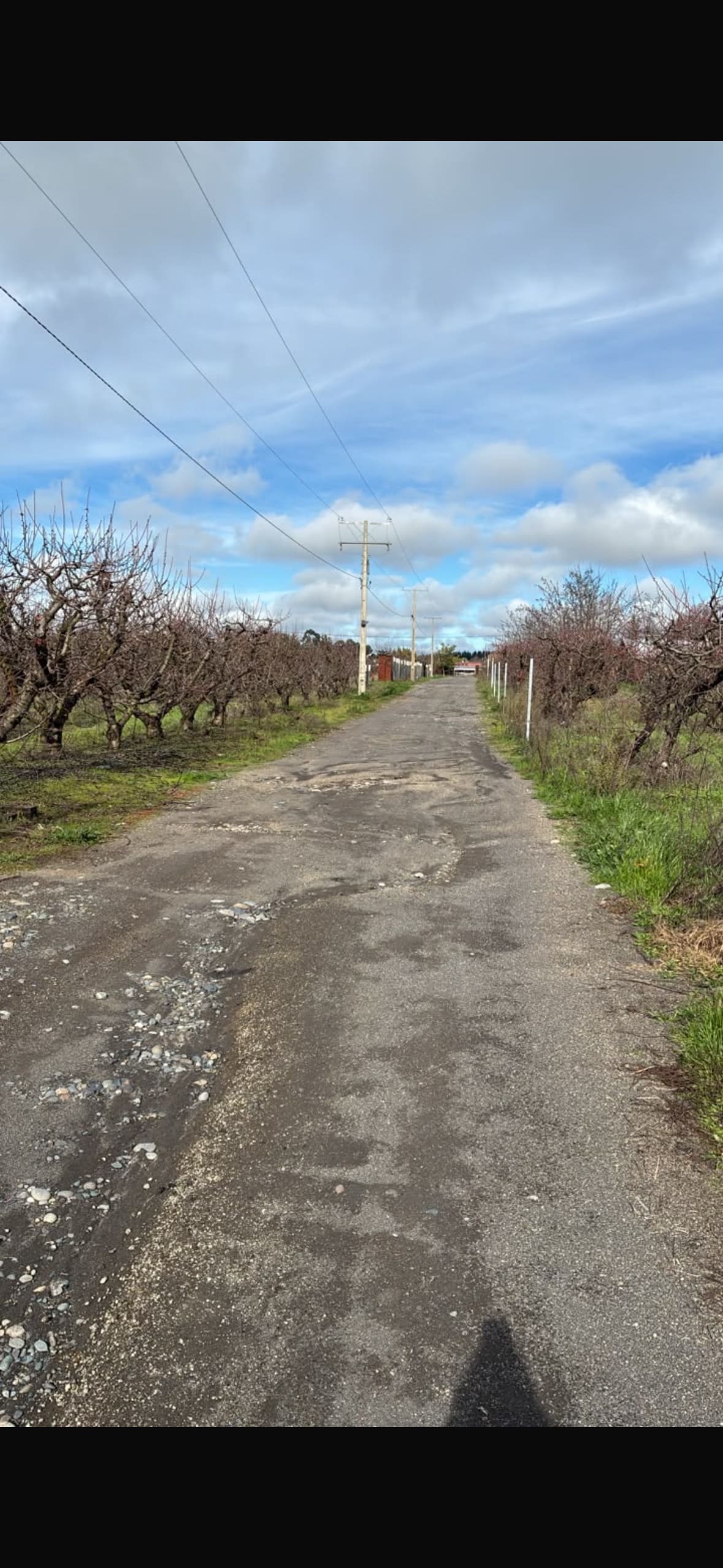 Parcela en venta en Chillán — foto 1