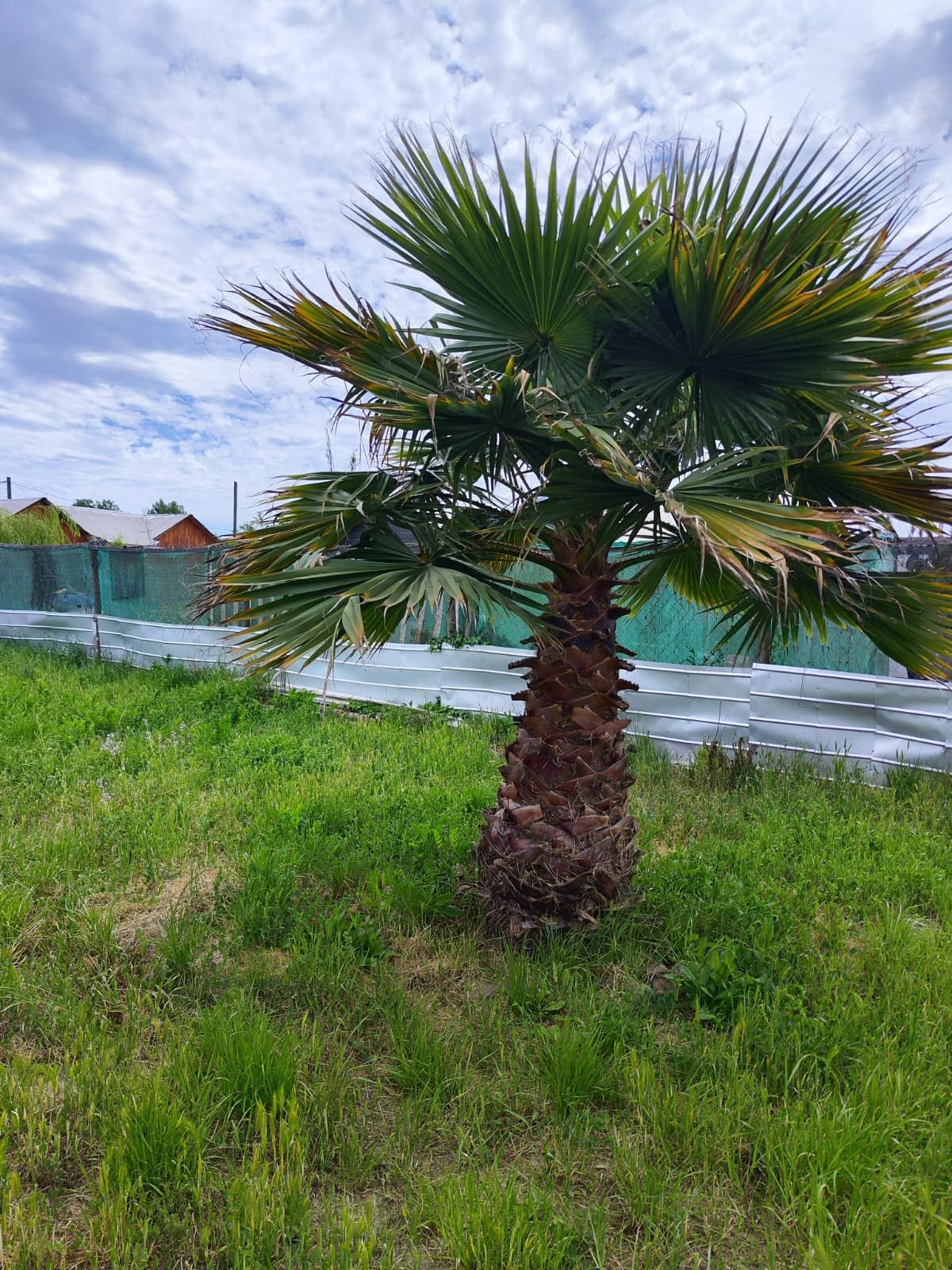 Casa en venta en Melipilla — foto 2