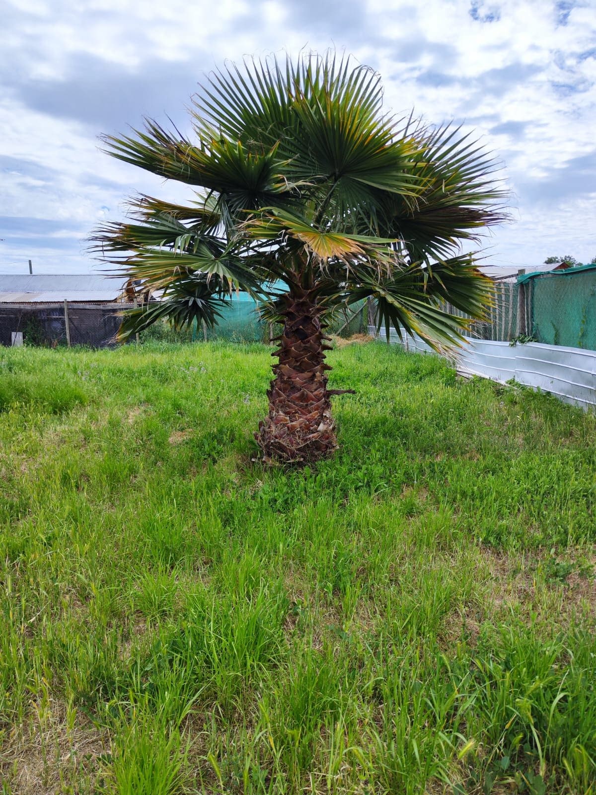 Casa en venta en Melipilla — foto 9