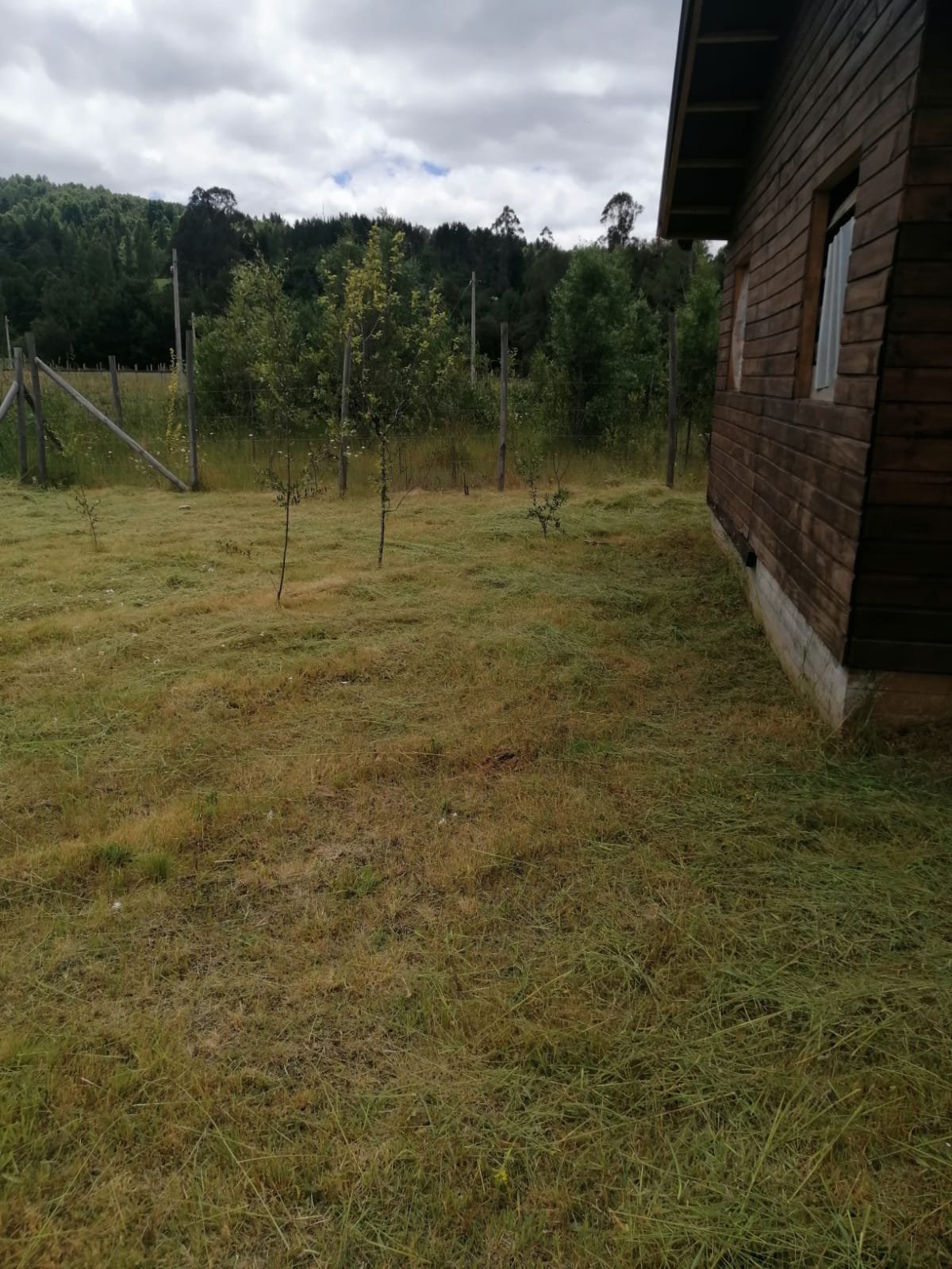 Terreno en venta en Loncoche — foto 6