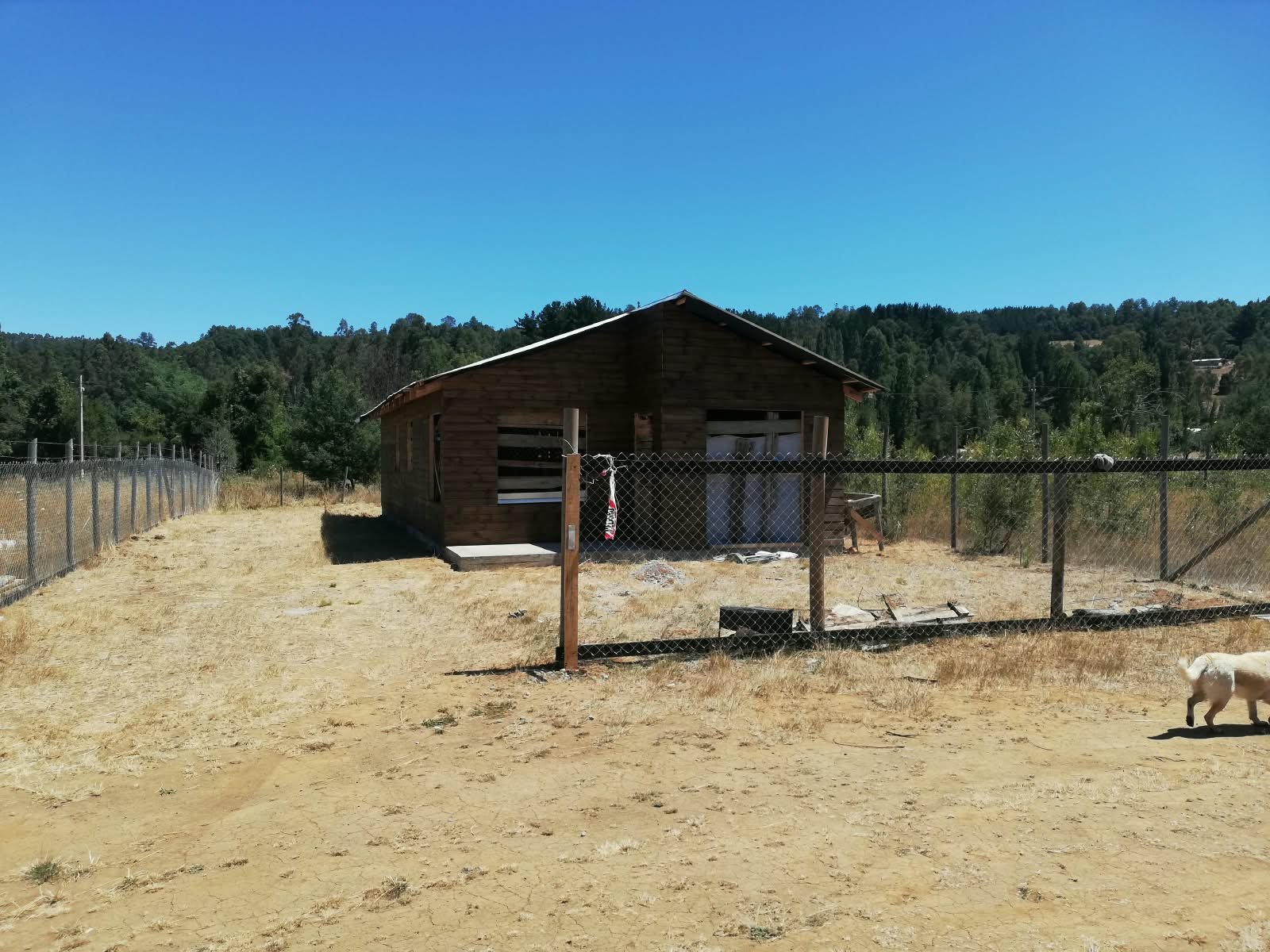 Terreno en venta en Loncoche — foto 1