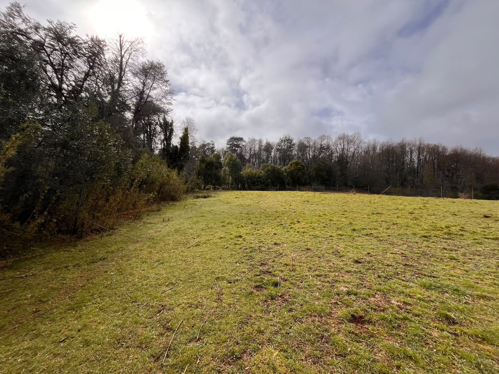 Terreno en venta en Curacautín — foto 6