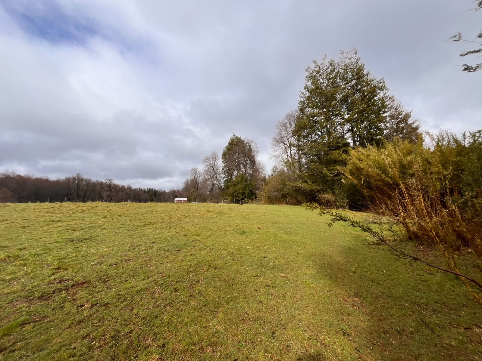 Terreno en venta en Curacautín — foto 5