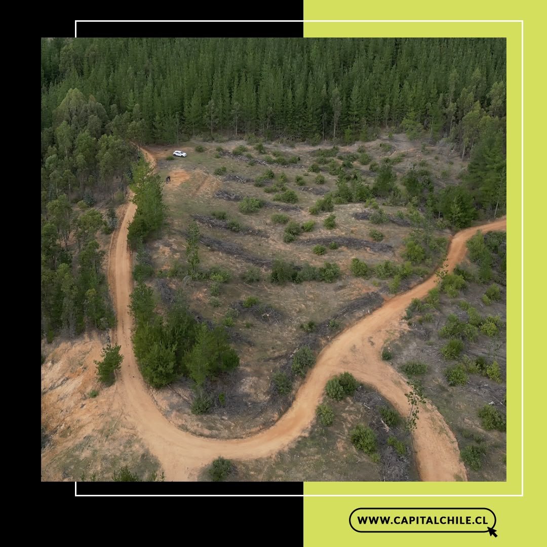 Terreno en venta en Curepto — foto 3
