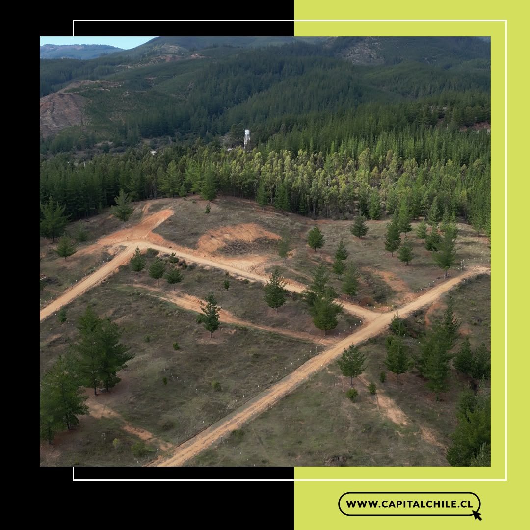 Terreno en venta en Curepto — foto 2