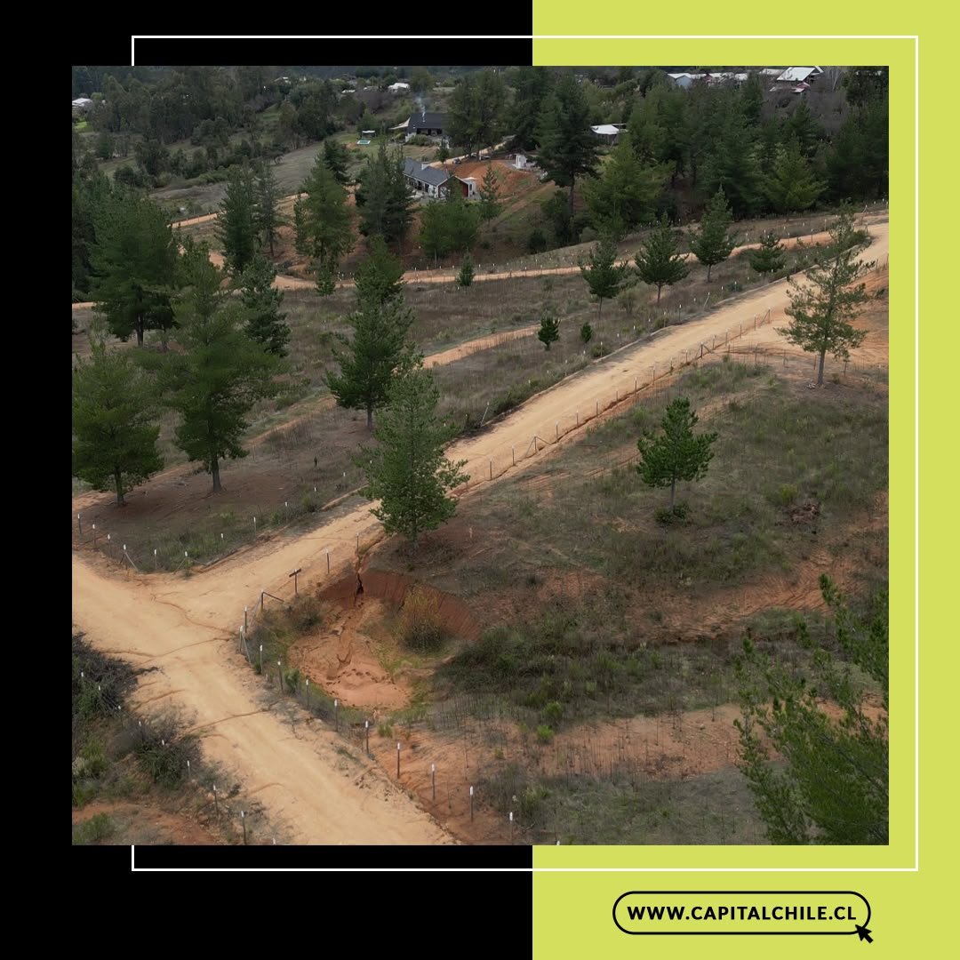 Terreno en venta en Curepto — foto 6