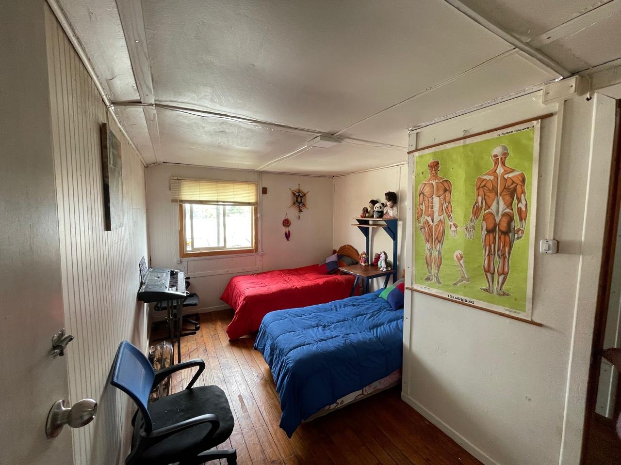 Casa en venta en Paillaco — foto 3