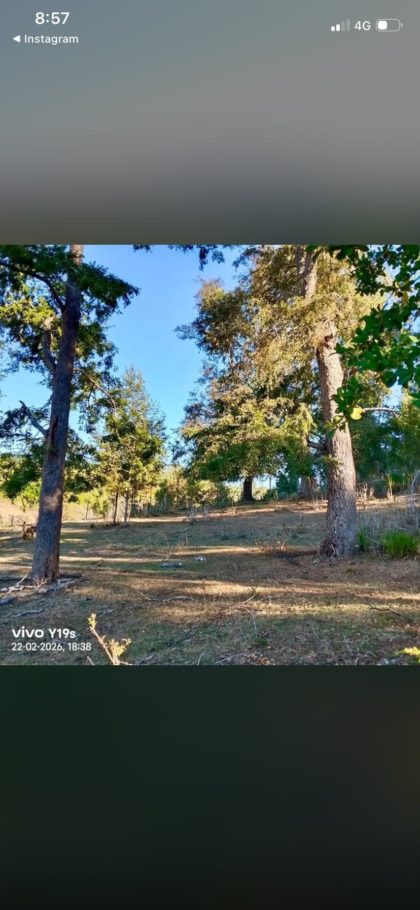 Terreno en venta en La Unión — foto 5