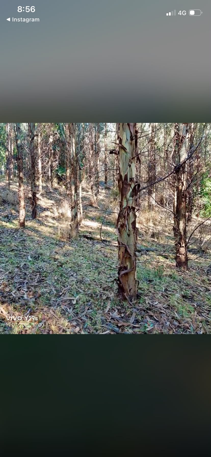 Terreno en venta en La Unión — foto 9
