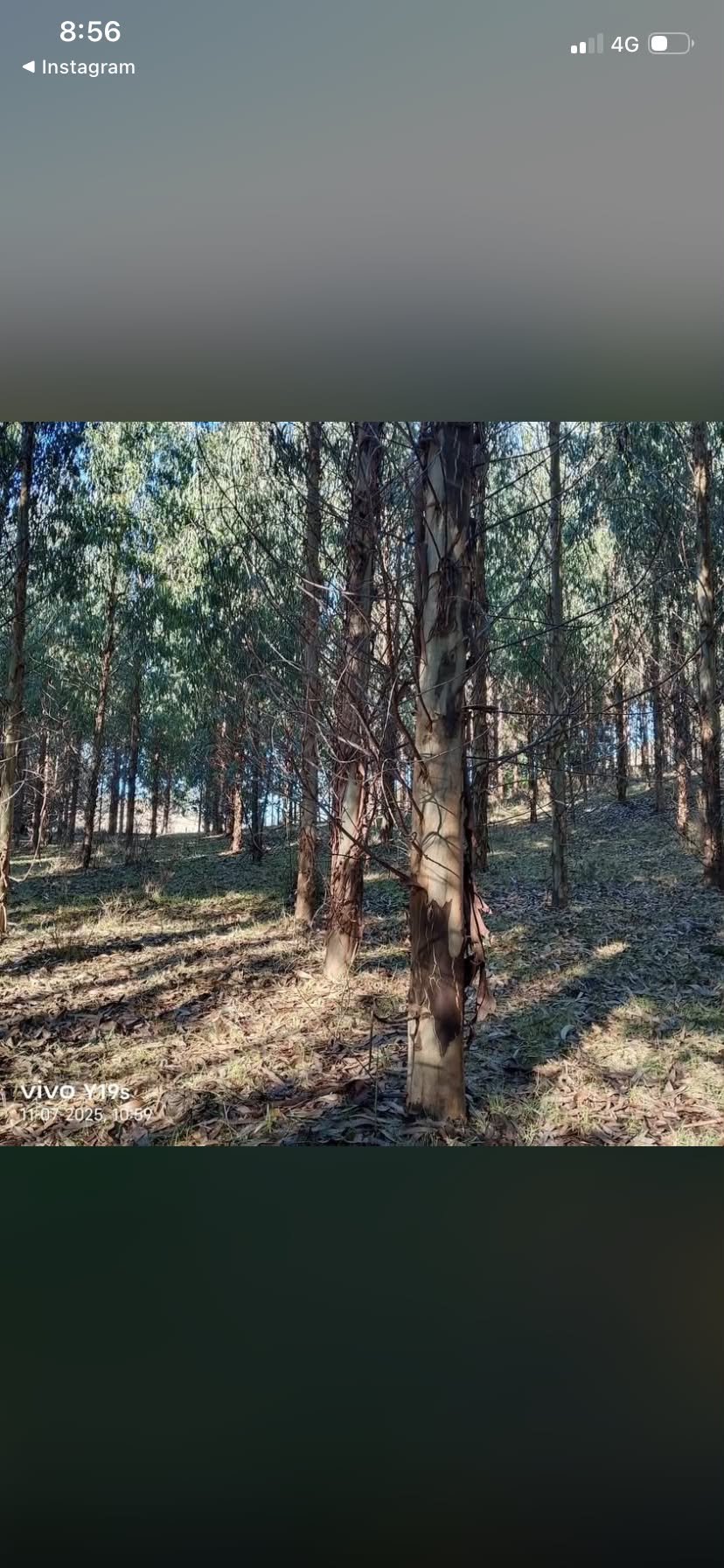 Terreno en venta en La Unión — foto 8