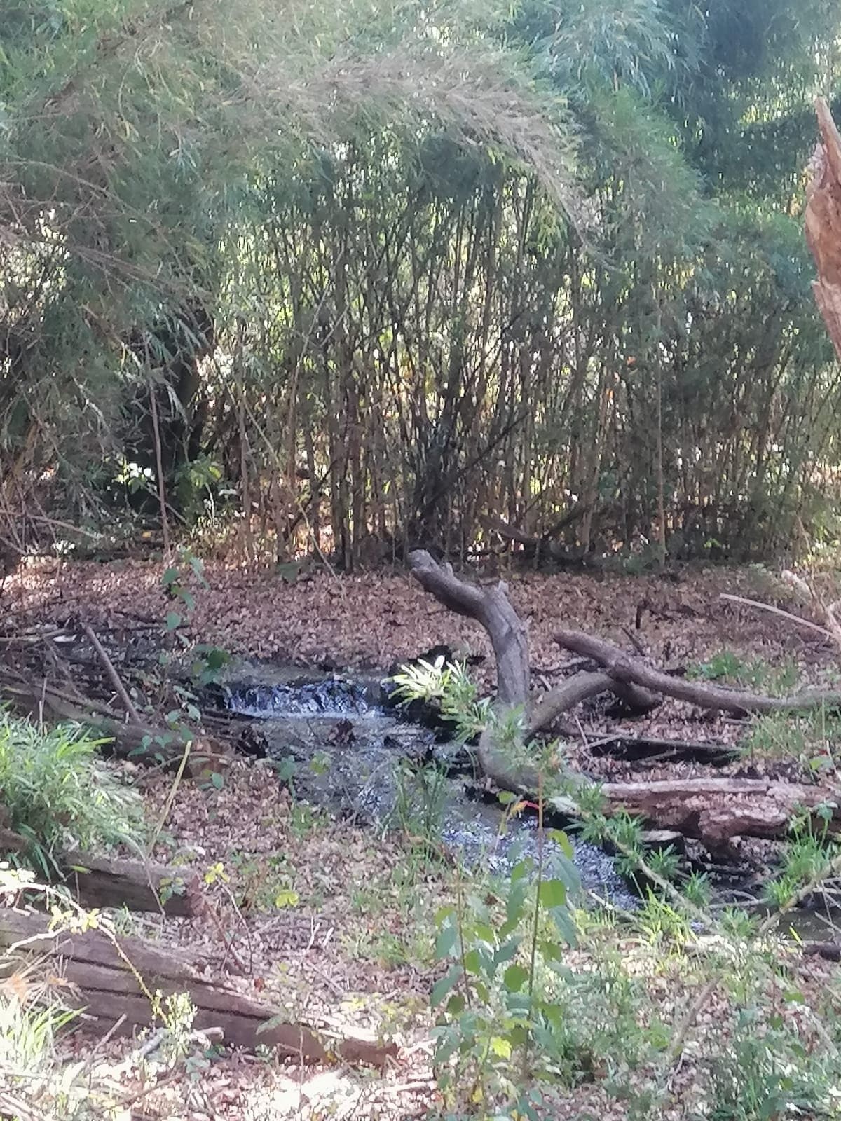 Parcela en venta en Pucón — foto 3