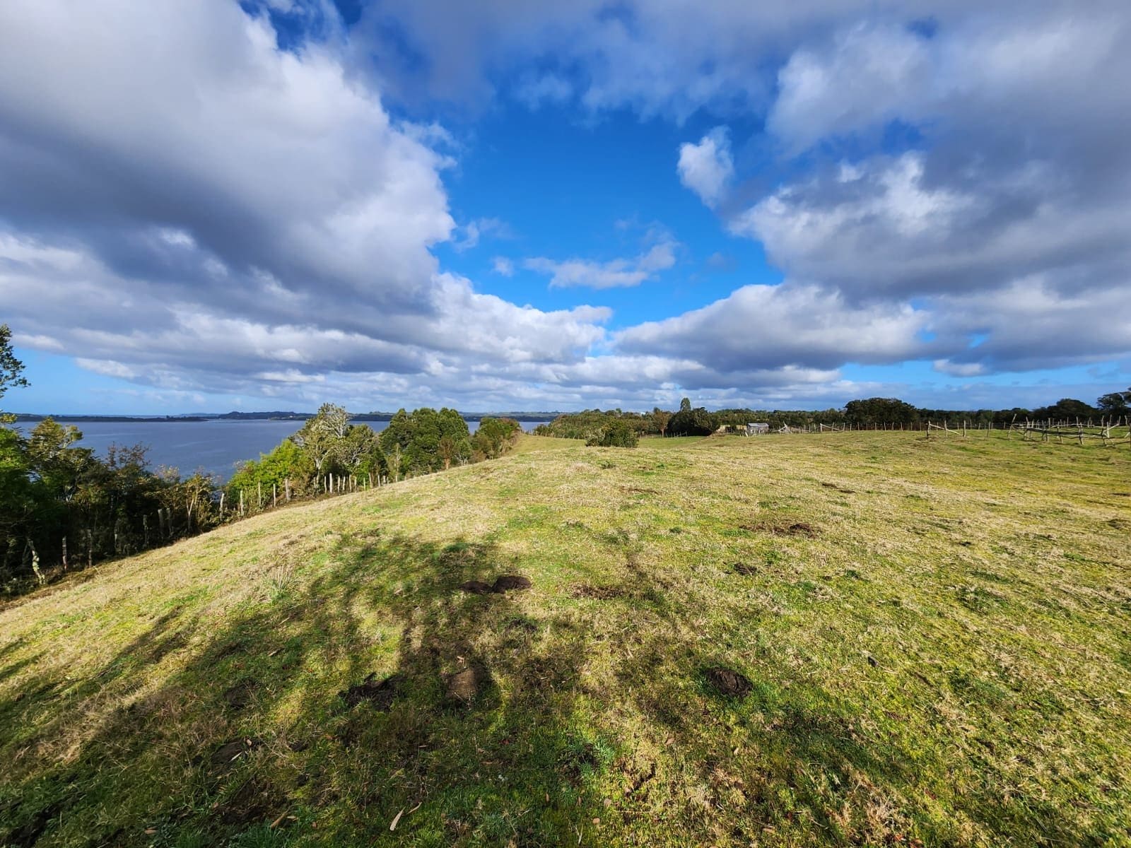 Parcela en venta en Ancud — foto 7