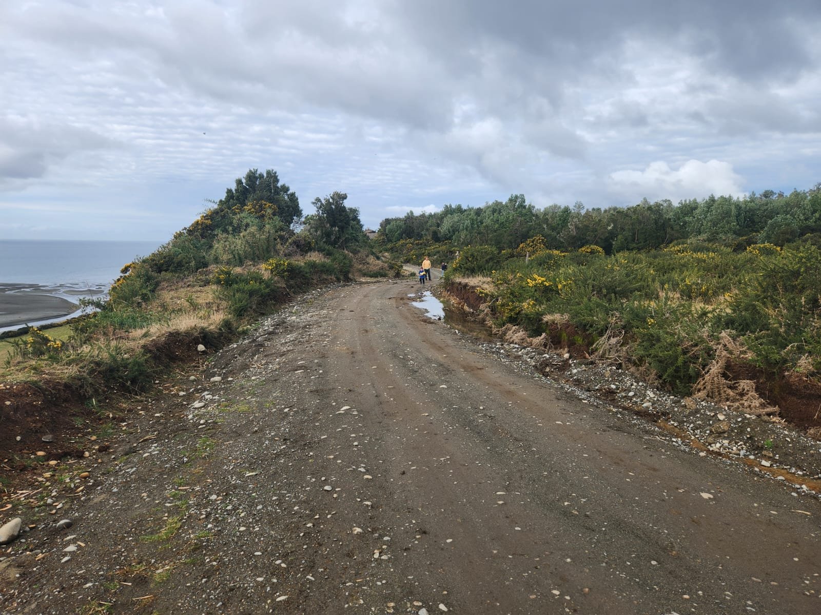 Parcela en venta en Quemchi — foto 4