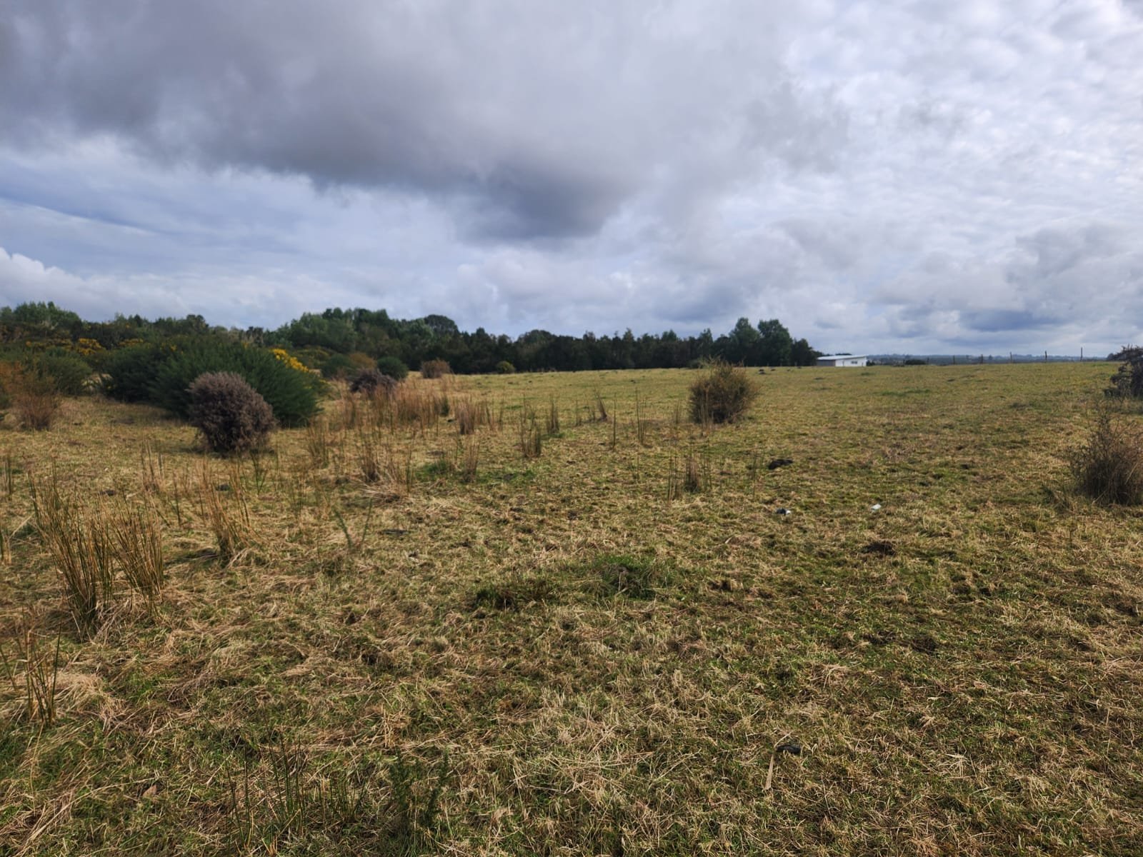 Parcela en venta en Quemchi — foto 5