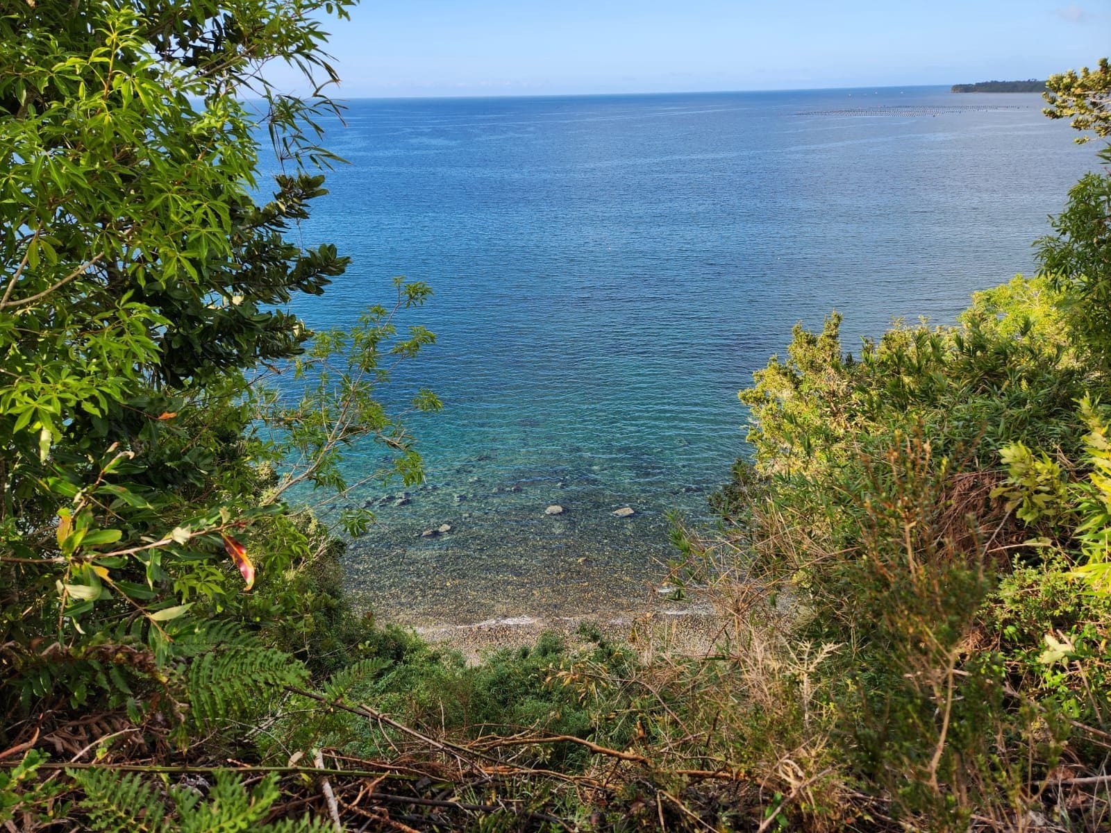 Parcela en venta en Ancud — foto 9