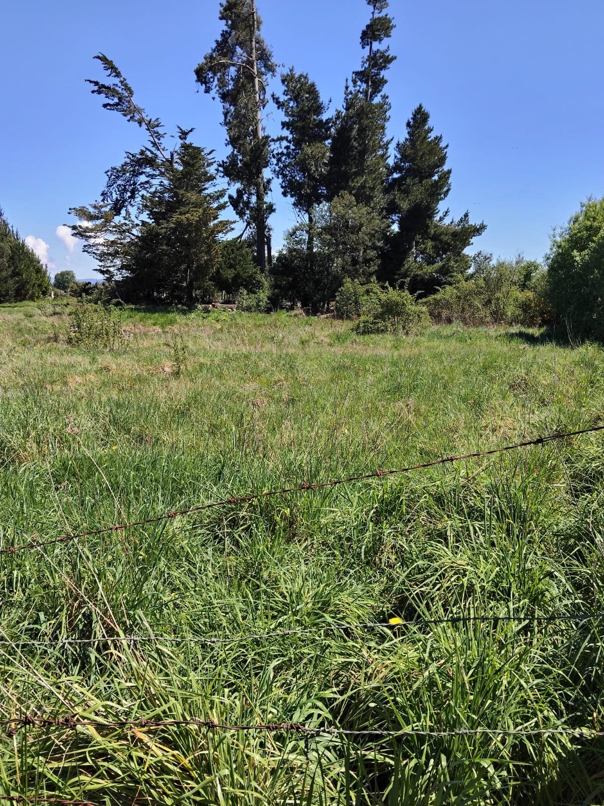 Parcela en venta en Lautaro — foto 2