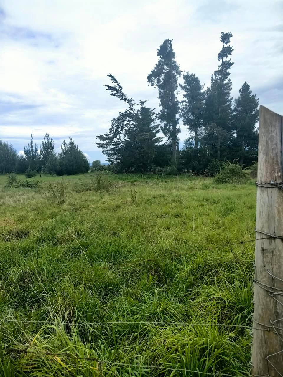 Parcela en venta en Lautaro — foto 7