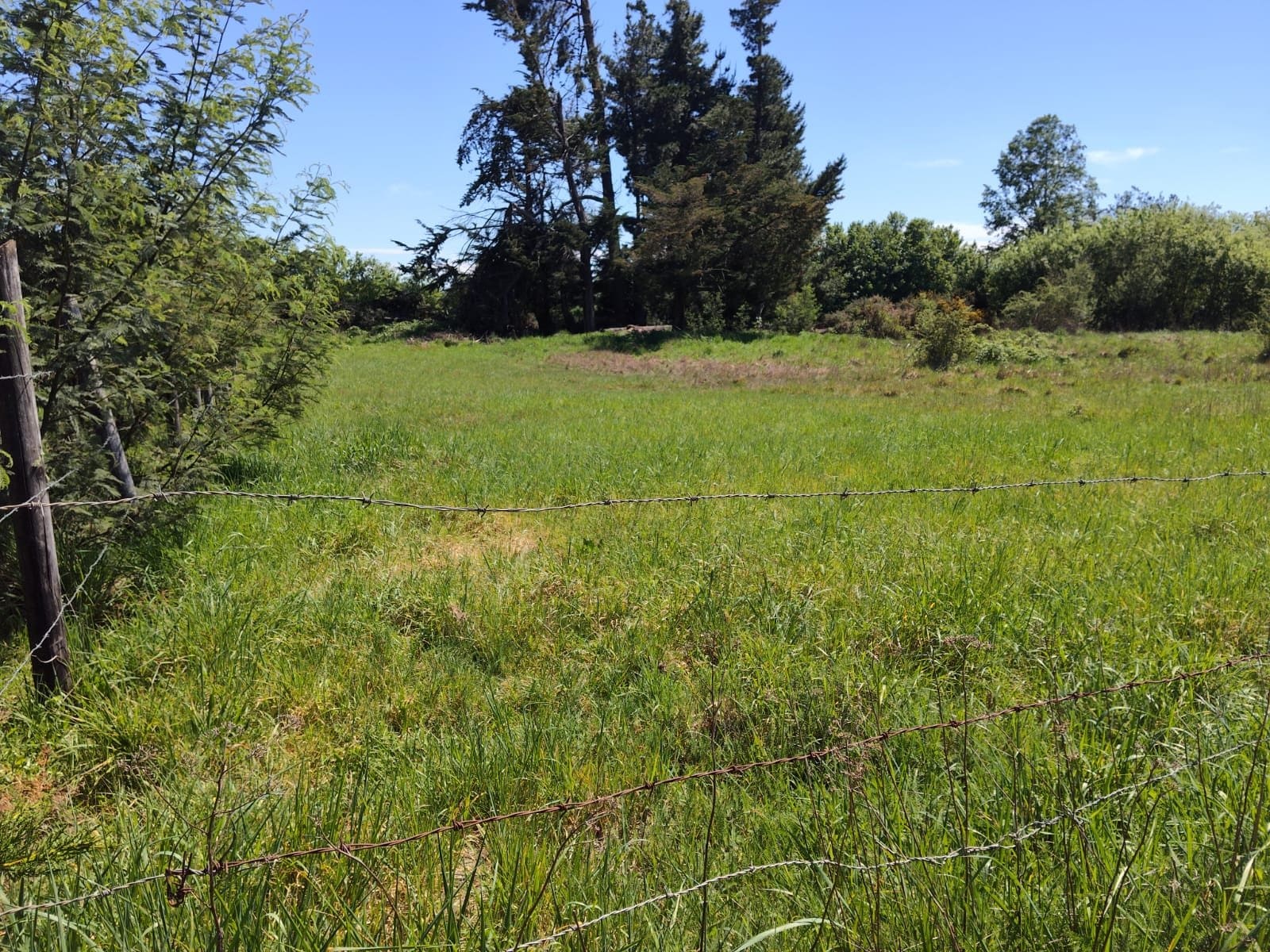 Parcela en venta en Lautaro — foto 1