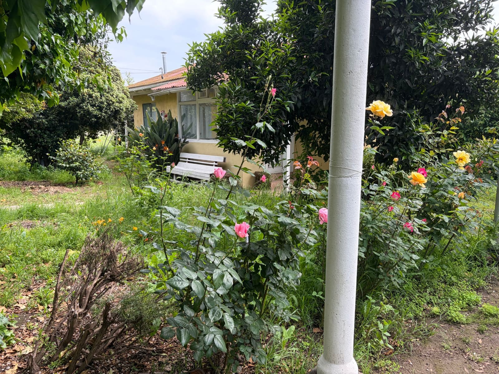Parcela en venta en Rengo — foto 9