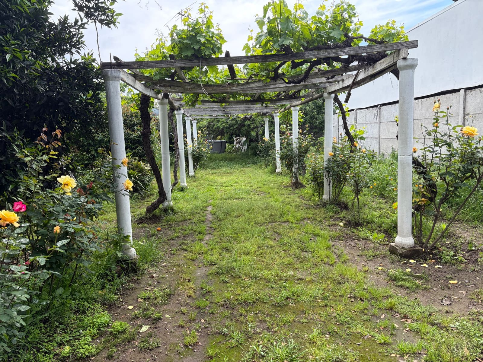 Parcela en venta en Rengo — foto 8
