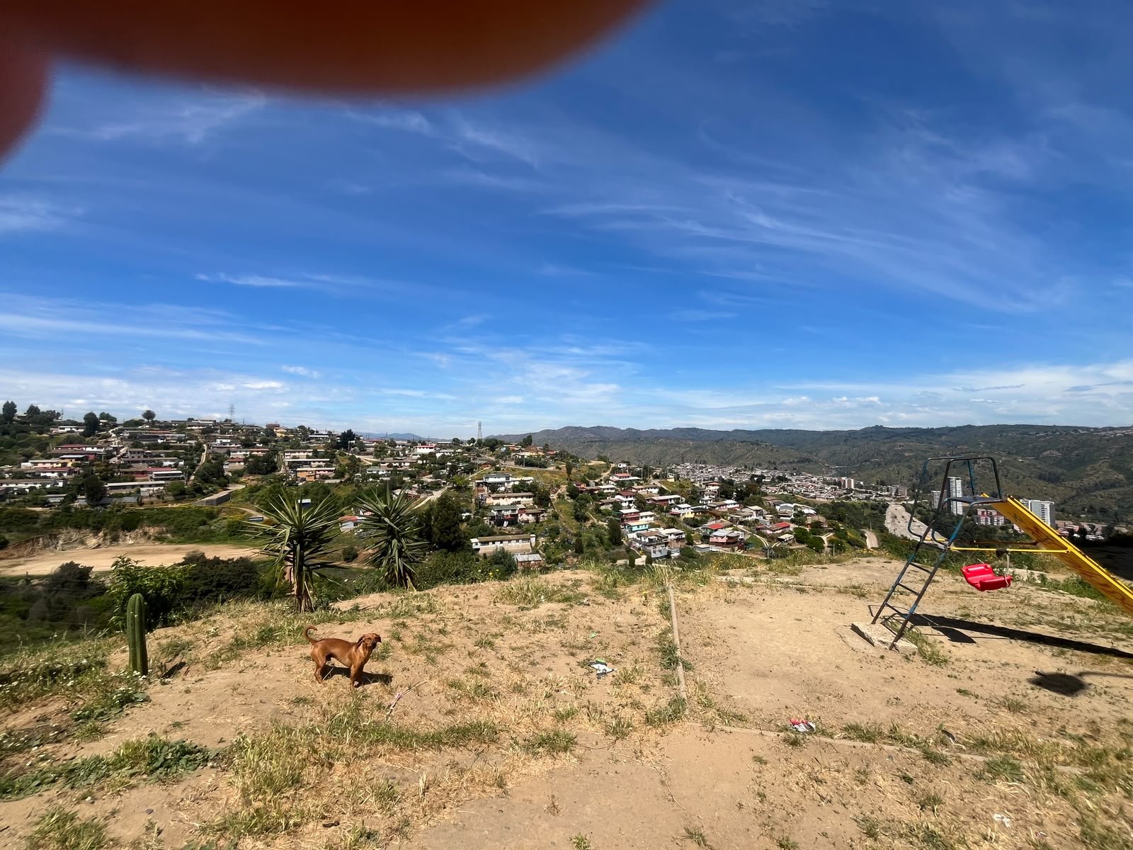 Departamento en venta en Viña del Mar — foto 1